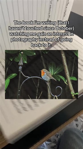 Balancing Writing and Photography During Exams