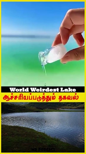 #shorts World Weirdest Lake😱😱😱#ytshorts #lake #southafrica #africa #history #tamil