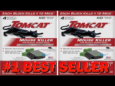 Tomcat Mouse Killer Child Resistant Refillable Station with Clear Lid for Easy - B0CGM31766