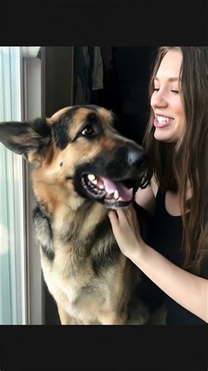 Doglife Love and Women #doglove #greatdane #doglife #dogvideos