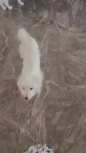 Good Morning Routine with Baby and Candy 💘