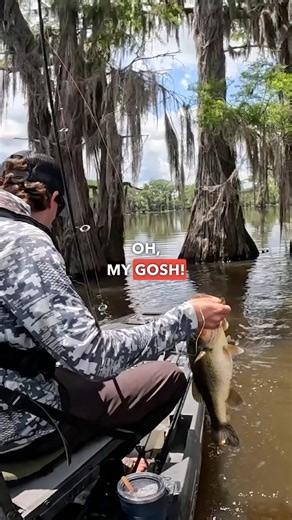 Nothing like a FUN fight on spinning tackle around shallow cypress trees! My Native TitanX makes it so easy to fight and land big ones 💪🏼🎣 | Tylersreelfishing