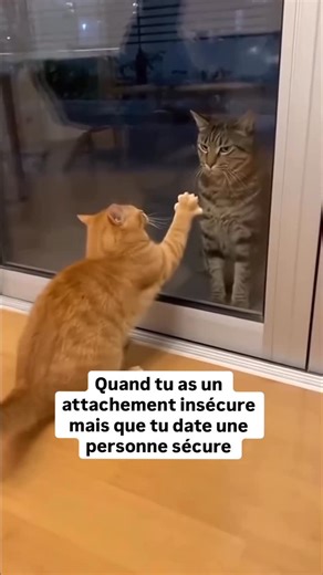 Mélany l thérapeute holistique🧝🏻‍♀️ on Instagram: "Quand tu as un attachement insécure et que tu dates une personne sécure ça peut être déstabilisant 😅 Parce que ton système nerveux a appris que l’amour = danger. Alors la stabilité peut sembler étrange Parfois même “ennuyante”, pas parce que tu n’aimes pas, mais parce que ton corps ne reconnaît pas encore la sécurité ❤️‍🩹 Ce que tu peux ressentir (et c’est normal) : — tu sur-interprètes un silence — tu cherches des preuves — tu testes “un pe