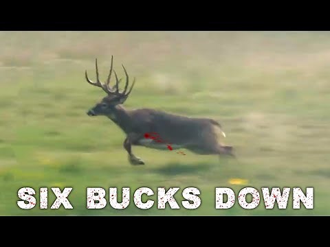 Hunters Shoot Six HUGE BUCKS One After the Other
