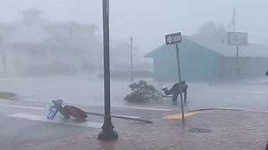 Reporter hit by flying tree branch during Hurricane Ian coverage