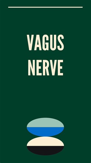 Sarah Kleiner | Leptin · Circadian & Quantum Biology on Instagram: "Comment or DM the word VAGUS to read my article on what you need to know about “vagus nerve hacks”. Vagal tone actually follows a circadian rhythm, and if your sleep is disrupted or irregular, parasympathetic activity drops and stress signaling dominates (Besson et al., 2025). That directly undermines the same regulatory pathways people are trying to stimulate. Light exposure, consistent sleep and wake times, and real darkness a