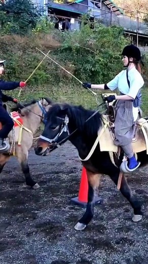 Riding and fighting from horseback: bajutsu馬術 and bajobugei 馬上武芸were important skills for a samurai to possess in battle. Here in Japan the traditional style of horse riding is called washiki bajutsu. Its different to British and Western riding styles in many ways. For a couple of years I have been learning Japanese style equestrianism and horseback archery as it is hugely interesting and I love to spend time with horses too. I get lessons at Saddle Back Horse Ranch in Odawara. I get picked up a