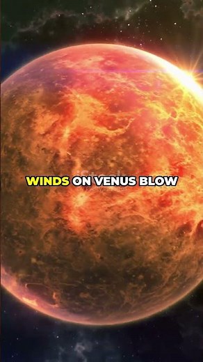What If You Lived on Venus?