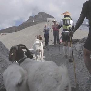 Join us on the E250 UNESCO trail running challenge in 2023 for a once-in-a-lifetime experience. The perfect way to see Switzerland's beautiful scenery and participate in a unique event! Register now and be part of the legendary Eiger in 2023. #EigerUltraTrail #UTMBWorldSeries | Eiger Ultra Trail by UTMB