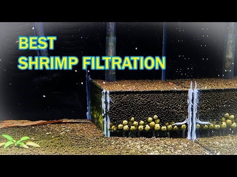 UNDERGRAVEL FILTER - best SHRIMP TANK SETUP filter ever?