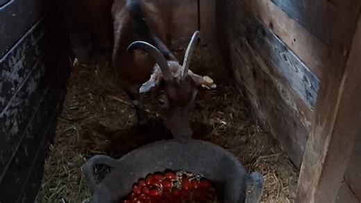 Thomas Brauckmann on Reels