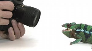 Inside One Man's Quest to Build a Photo Ark for Animals