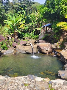 333K views · 6K reactions | [Nuevo] un ❤️ EDEN en el CAMPO ❤️ Pa' Quedarse  con Hacienda Familiar.. Fogon  y Casa hasta 10 Personas !! Info directo en Casita del alfarero | Puerto Rico desde el Aire | Facebook