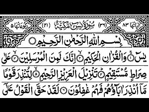 Surah Yasin (Yaseen) Full With Arabic Hd | Ep-029 | Surah Al Waqiah | Surah Al Mulk | Sheikh Saddam