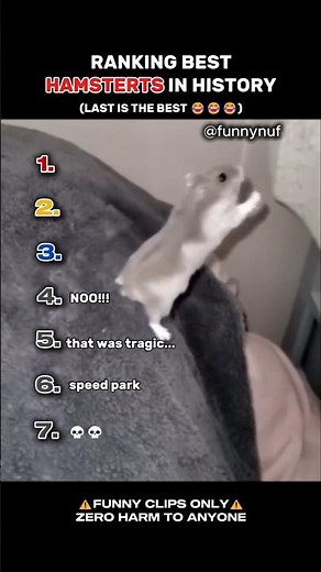 RANKING BEST CHAMSTERS IN HISTORY