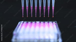 Scientist holding Multi channel pipette withdrawing pink compound solution with plastic tips for biomedical research with model compounds in background in a chemistry lab