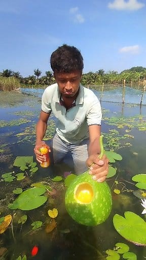 New trap for catching native hornfish #foryou #fishing | Tusar Fishing