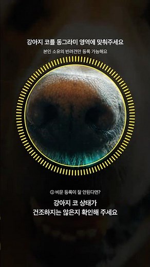 Kakao Pay 4.1 Update | Nose Pay
