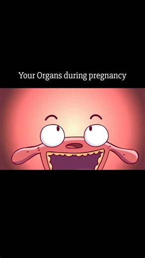 World of Biology on Instagram: "Your organs during pregnancy. What happens inside your body when a baby suddenly appears. • • • Animation credit 📸 - Thanks to "Casicreativo English " official Youtube channel for this amazing Animation 👏 • • • Link to watch original video 📹 ✨️ https://youtu.be/fDPHdTAaT4o?si=2YqC9CEsWiGuN4zH"