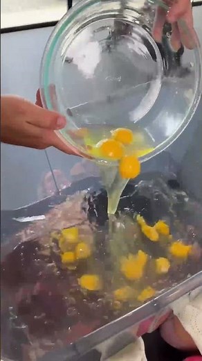 Insane Girls Try The Water Bucket Challenge!