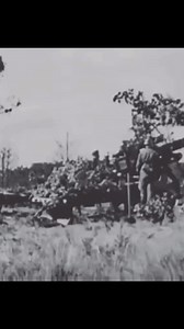 The terrifying sounds of war #viralphotochallenge #views1m #viralvideochallenge #viral | World war 2 Historical videos