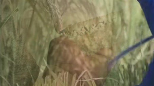 WATCH! Greetings from LGU Dagami, Leyte for DORELCO's 55th Founding Anniversary. #Shining55 #OneDORELCO #Dagami | DORELCO