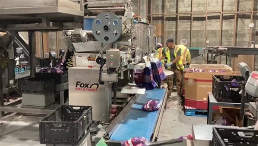 Fox Solution’s FSWB3 Bagger and Newtec 4014XB1 weigher: the perfect pair for precise and efficient packaging. ⚙️ These machines work together to weigh, portion, and prepare your products with speed and precision. Save time, money, and labor with this automated processing system. Contact us today to Learn More! ➡️ https://hubs.ly/Q02gPr410 | Fox Packaging and Fox Solutions