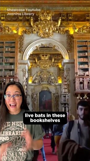 Why This Library WANTS Bats Inside