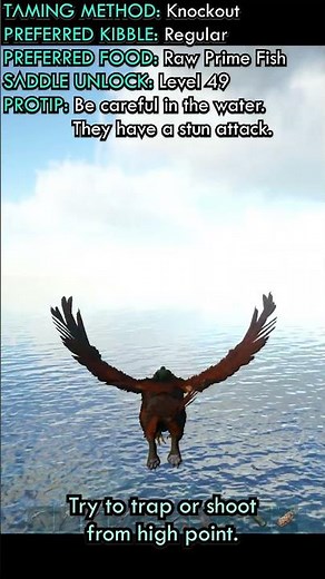 How to Tame a Baryonyx Fast Ark Beginner Guide #shorts