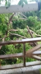 9:00am activity in Sou Sou Lands Tobago | TTT Live Online