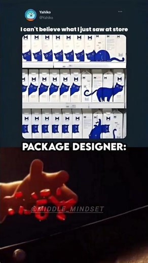 Funy memes package designer#school #relatable #viral