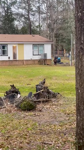 Wait to see the WILD caught-on-camera footage of this 28-year-old rescue donkey! 🤣 Christine told us about her resident butt-biter, Monte, and how he sings to her when he's ready for his breakfast! See more of Monte the Singing Donkey on Instagram: https://thedo.do/montethesingingdonkeyIG | The Dodo