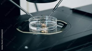 Microscope with egg cells being put under it for fertilization