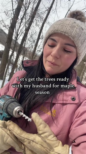 Maple Syrup Harvest: Preparing for Maple Season