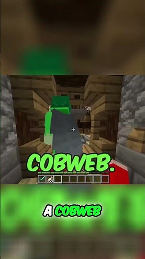 What's inside Lucky Bluey's secret base in Minecraft?