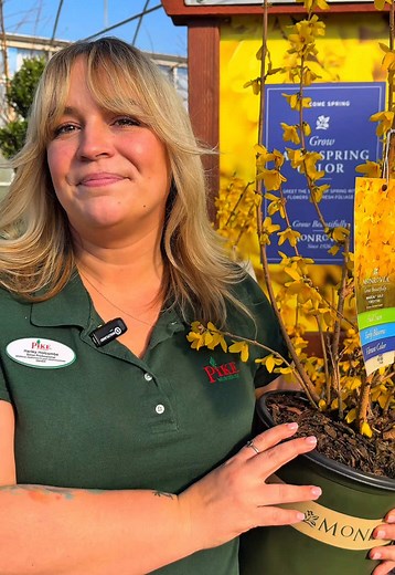 Early Spring Blooms to Brighten Your Garden