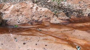 25K views · 496 reactions | Take a tour of this southwest Georgia gem to see how it evolved from farmland to our "Little Grand Canyon." | Georgia State Parks & Historic Sites - Georgia DNR | Facebook