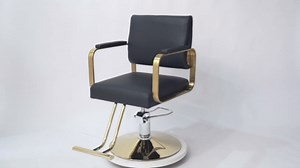 Salon Chair for Hair Stylist, All Purpose Hydraulic Barber Chair with Heavy Duty Hydraulic Pump, 360 Swivel Styling Beauty Spa Tattoo Equipment for Makeup, Lash, Braiding & Shaving (Black+Gold)