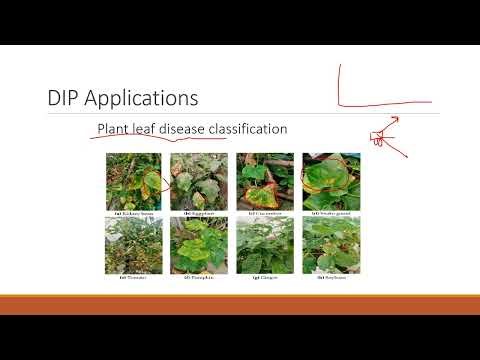 Introduction to the digital image processing Playlist