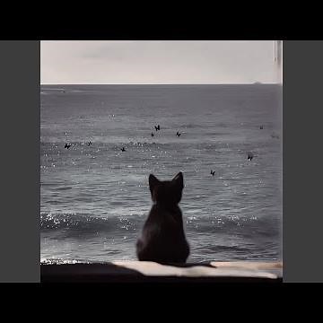 Nope your too late i already died (Slowed)