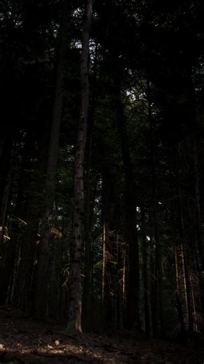 Nú styttist verulega í frumsýningu Kia EV5 á Íslandi. Fylgstu með 👀 | Kia á Íslandi - Askja