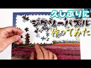 【ジグソーパズル】ダイソーのジグソーパズル作ってみた 🧩物作りのすすめ 002🔩