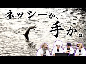 【🛸】Did we capture a legendary UMA on camera！？ A photo reveal event was held...