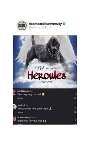 ayo why the dog look like that 😭