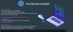.sanders4 Virus File (MedusaLocker Ransomware) - How to Remove