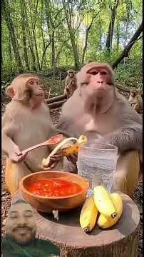 nice video👉 subscribe Karen please🙏🙏🙏