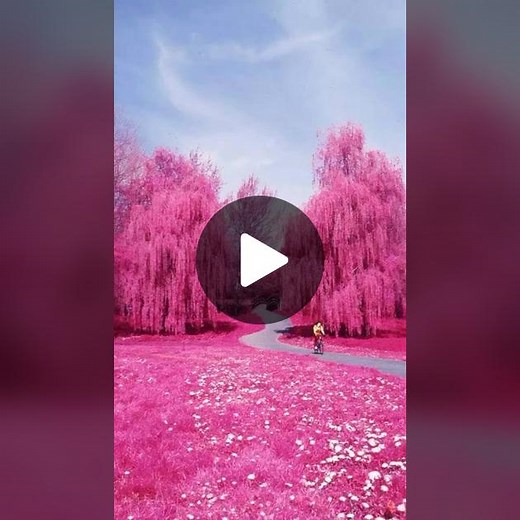 Exploring Breathtaking Landscapes in Nature