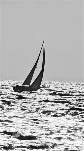 Sailboat Silhouette Against the Setting Sun ☀️⛵@ModjoCoast