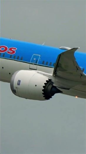 Neos Boeing 787 Dreamliner taking off from JFK