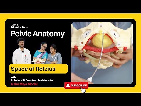Pelvic Anatomy | Episode 03 | Retropubic Space | Space of Retzius | Prevesical Space